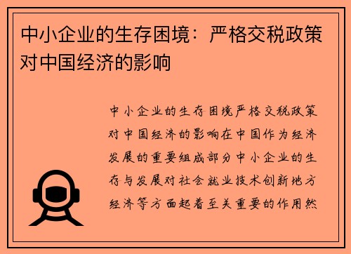 中小企业的生存困境：严格交税政策对中国经济的影响